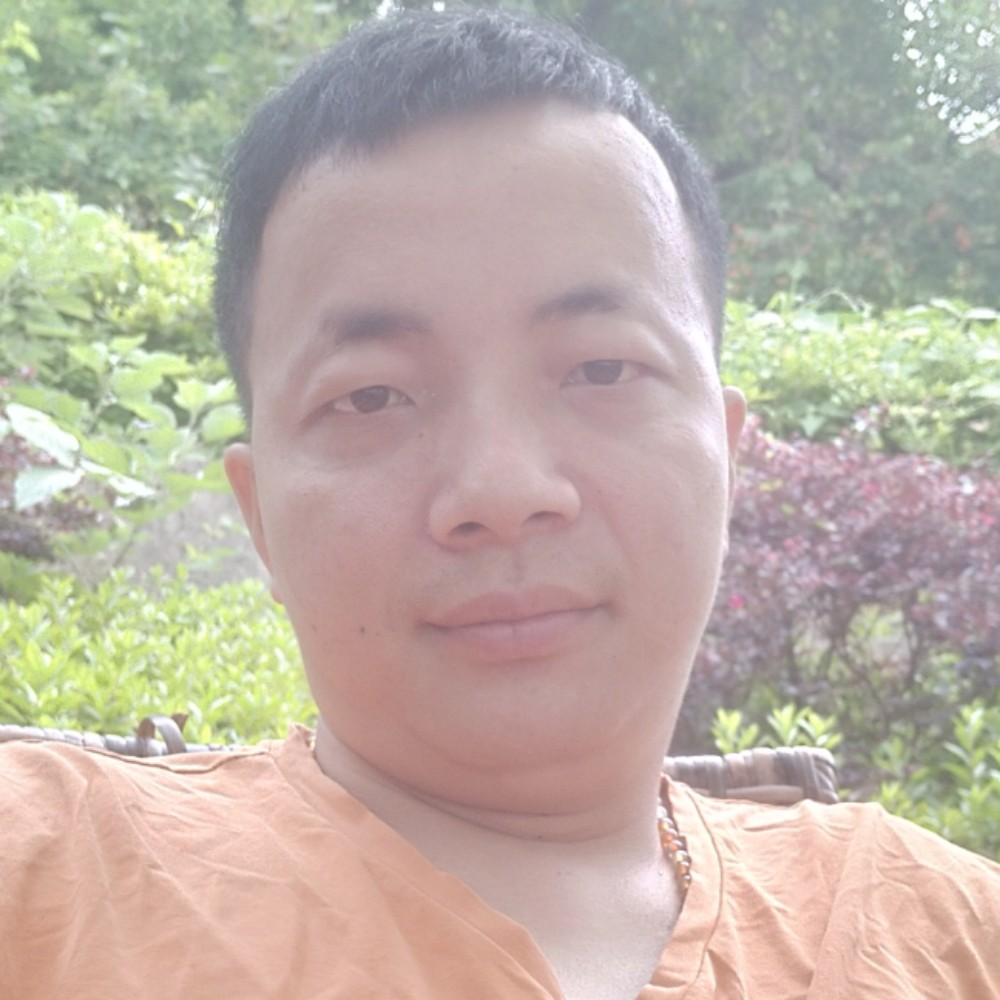 小天鹅粗心的照片