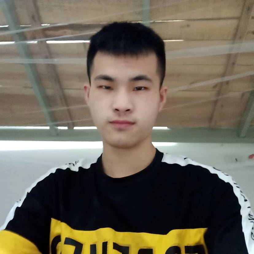 悲凉的小马的照片