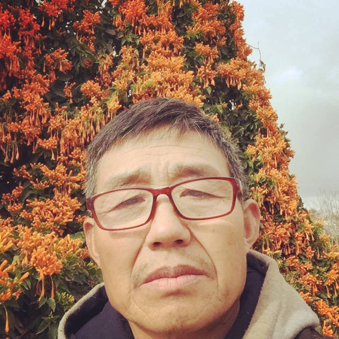 绿草挽手繁荣的照片