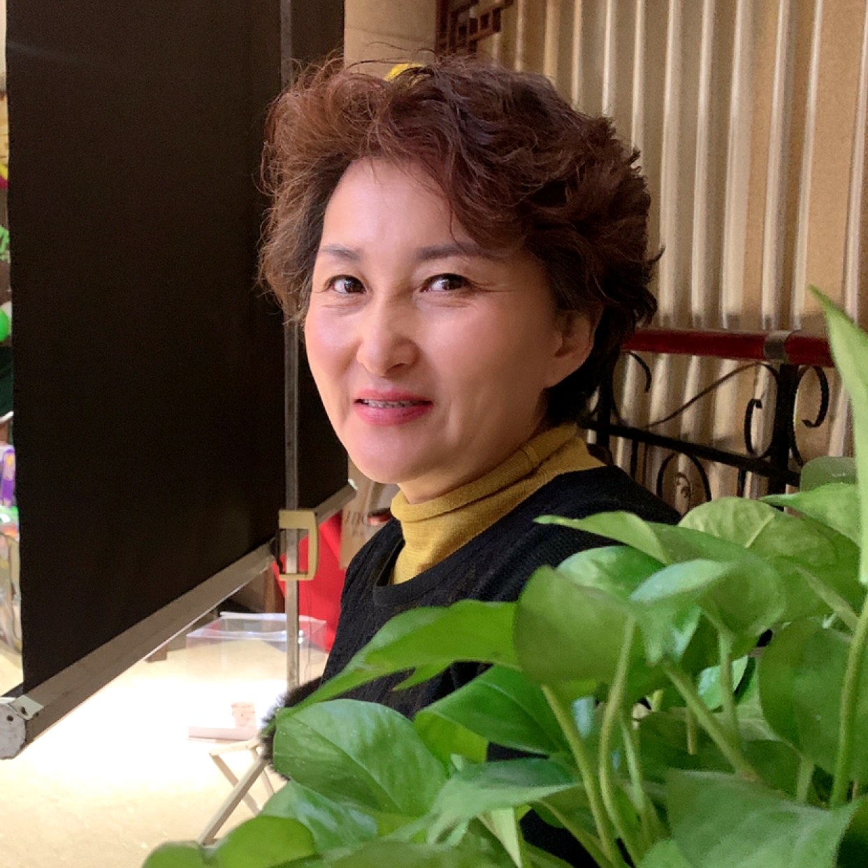 竹林,的照片