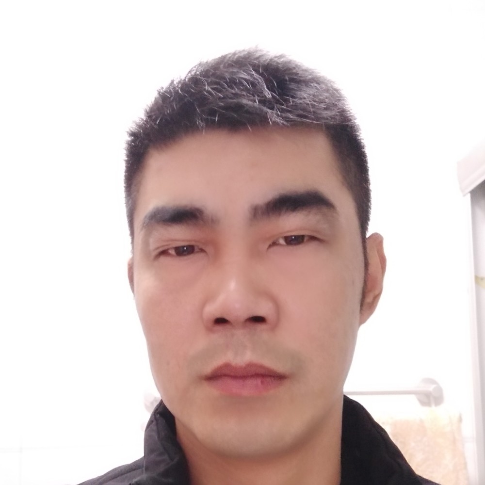 小猫咪愿顺利的照片