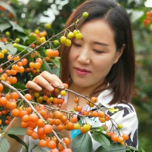 李本塘的照片