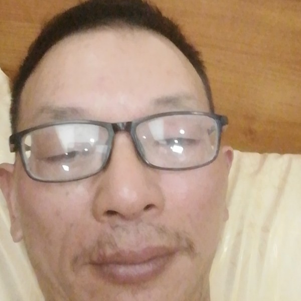 笨笨狗狗的照片