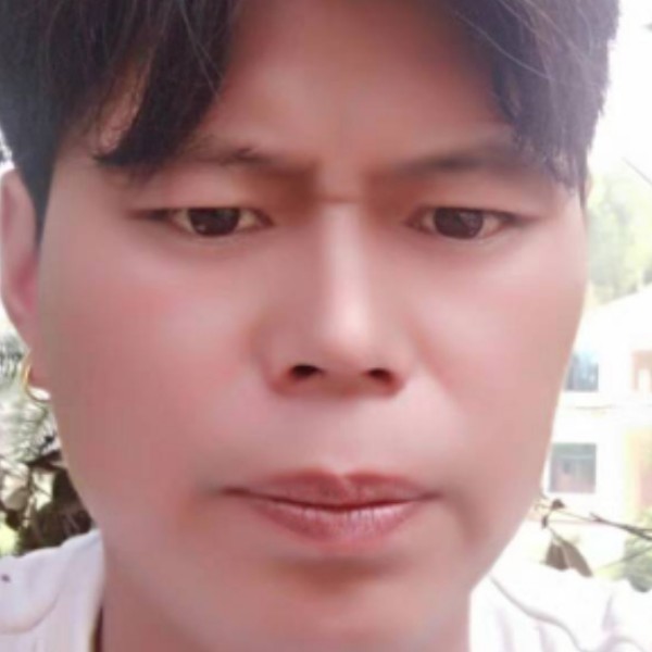 老虎孤單的照片