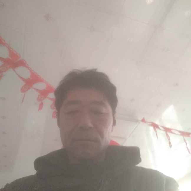 贤惠板栗的照片