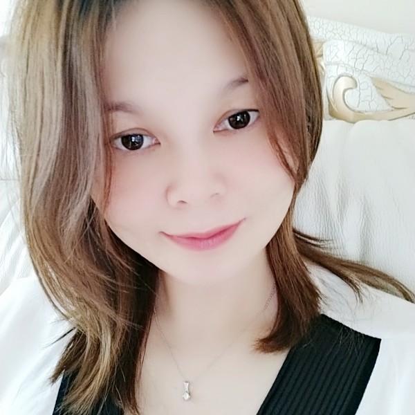 夏季小菊的照片
