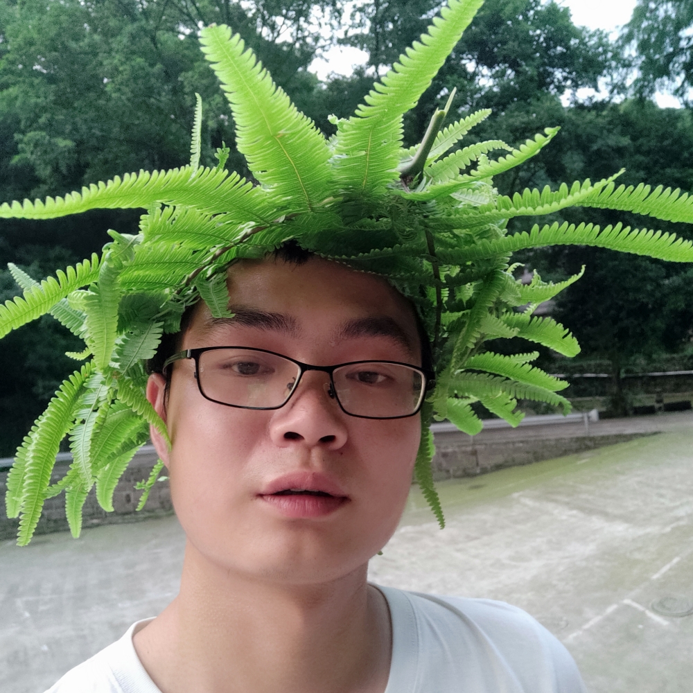 遇见午后的你的照片