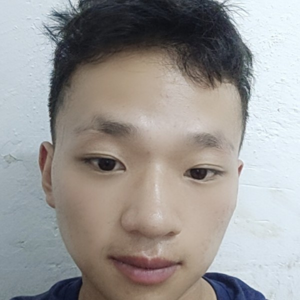 灰狼多么沉静的照片