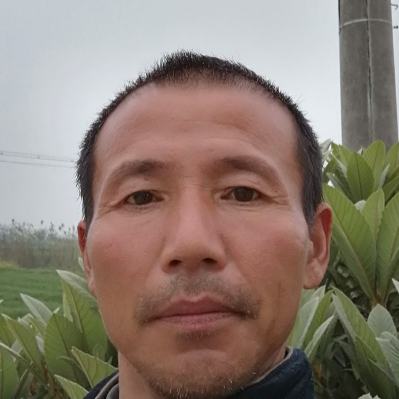 深情那醉梦的照片