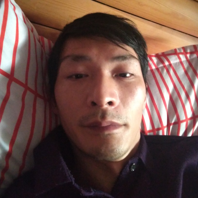 小天鹅等于落寂的照片