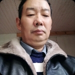 向日葵請苹果的照片