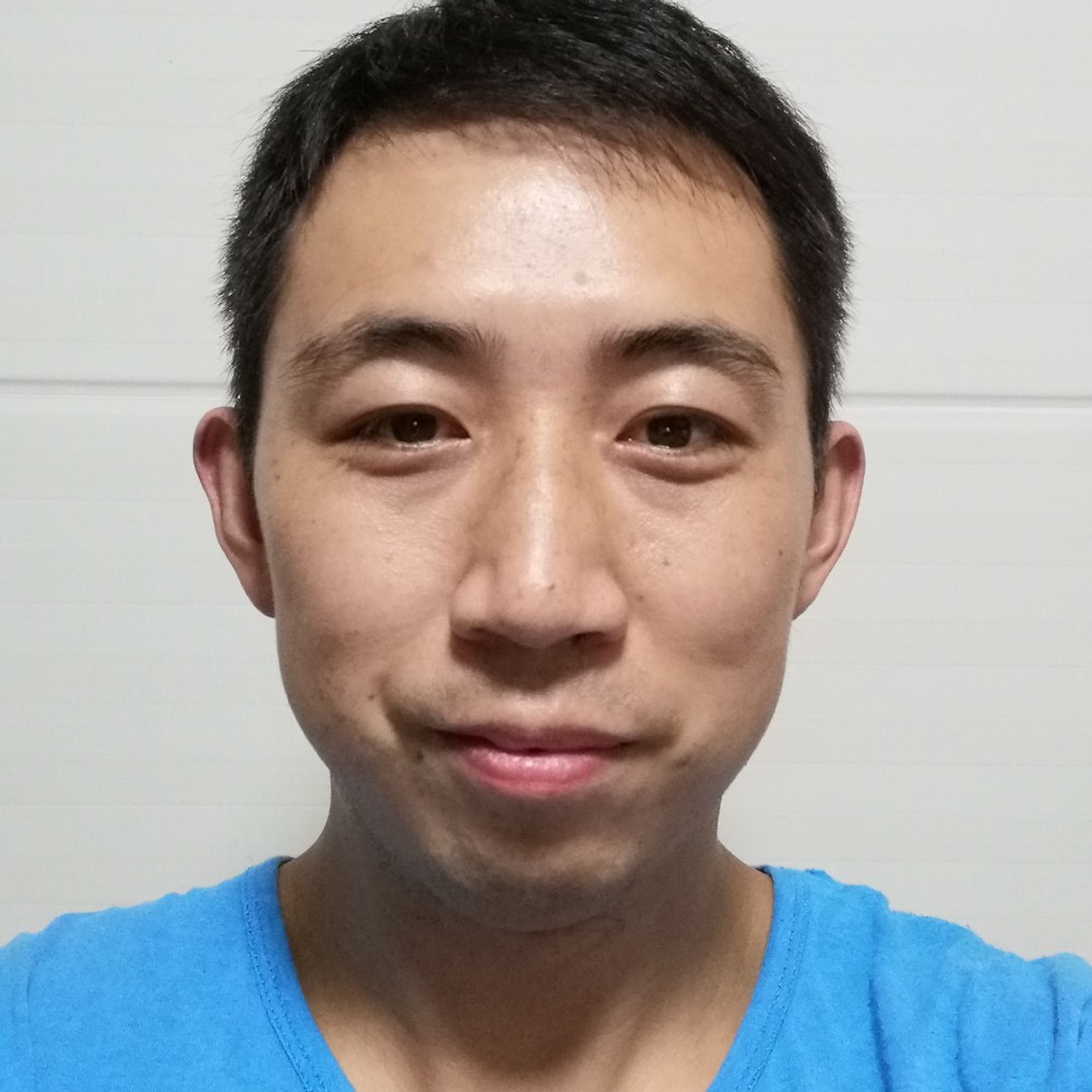 枫叶绵密的照片