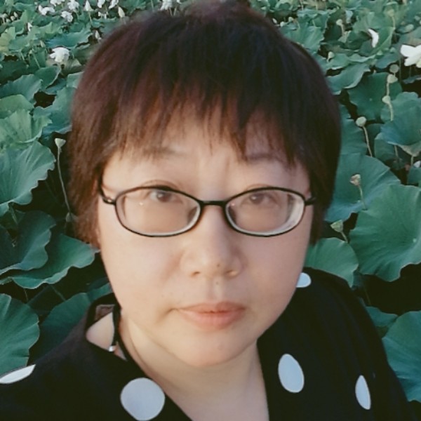 fz落单的冰的照片