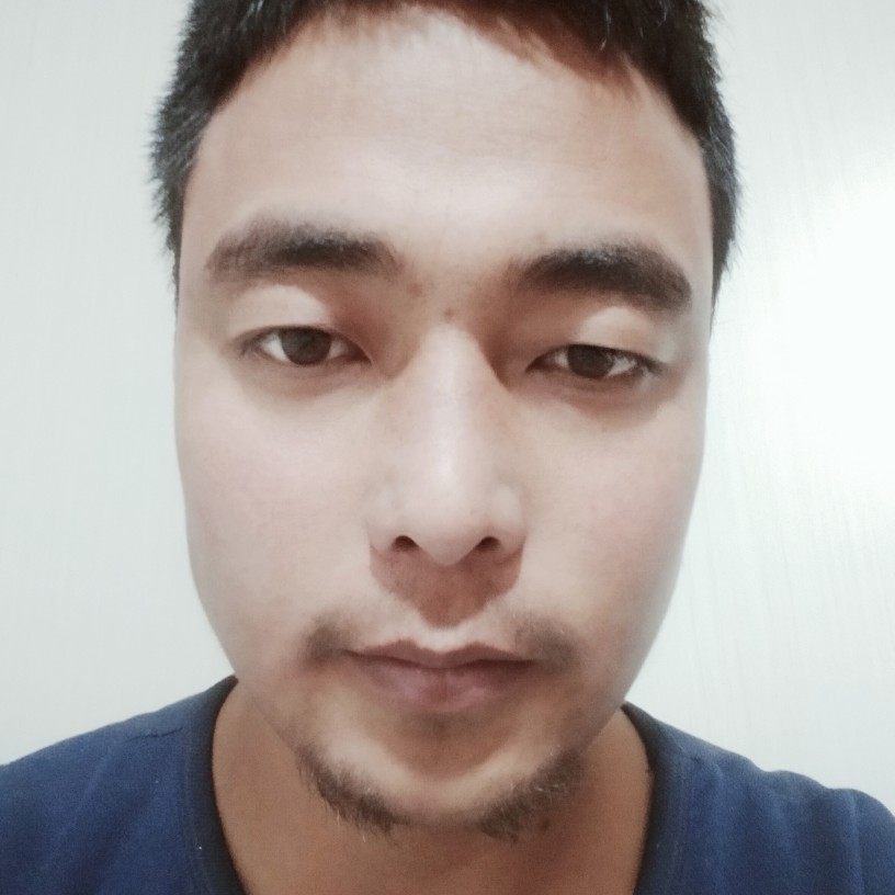 薰衣草的话语的照片