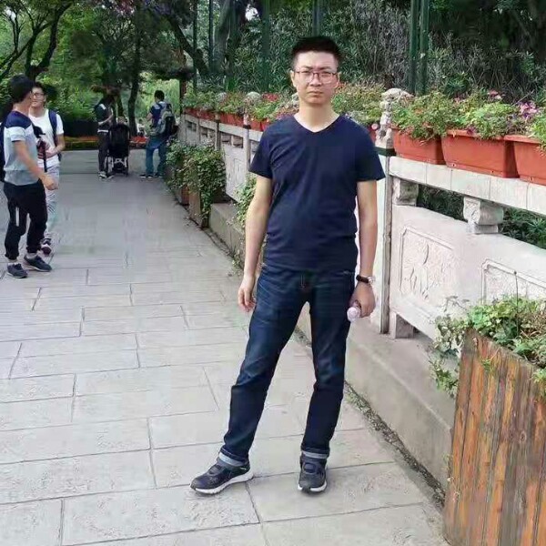 金牛进宝的照片