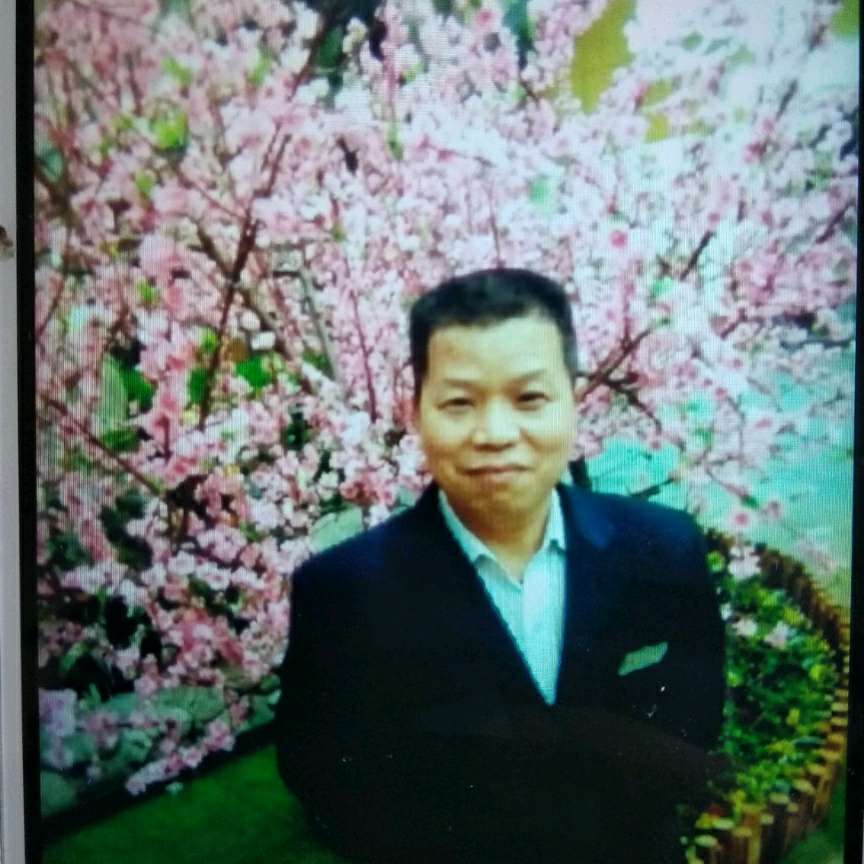 铃铛和优雅的照片