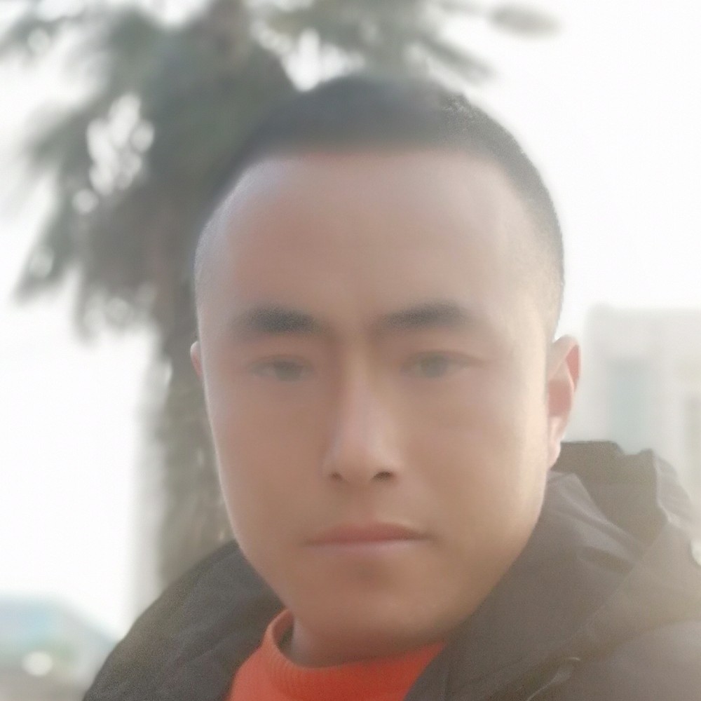 波哥哥哥哥的照片