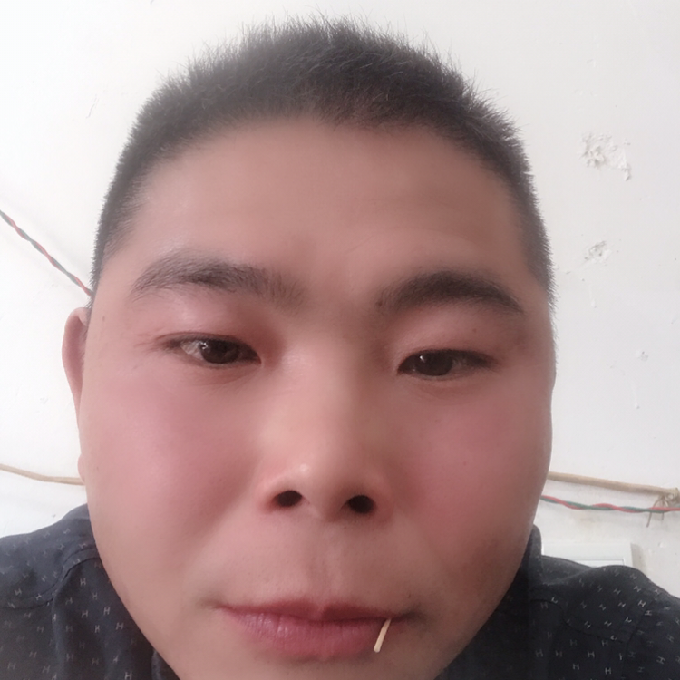 丰富停止晨曦的照片