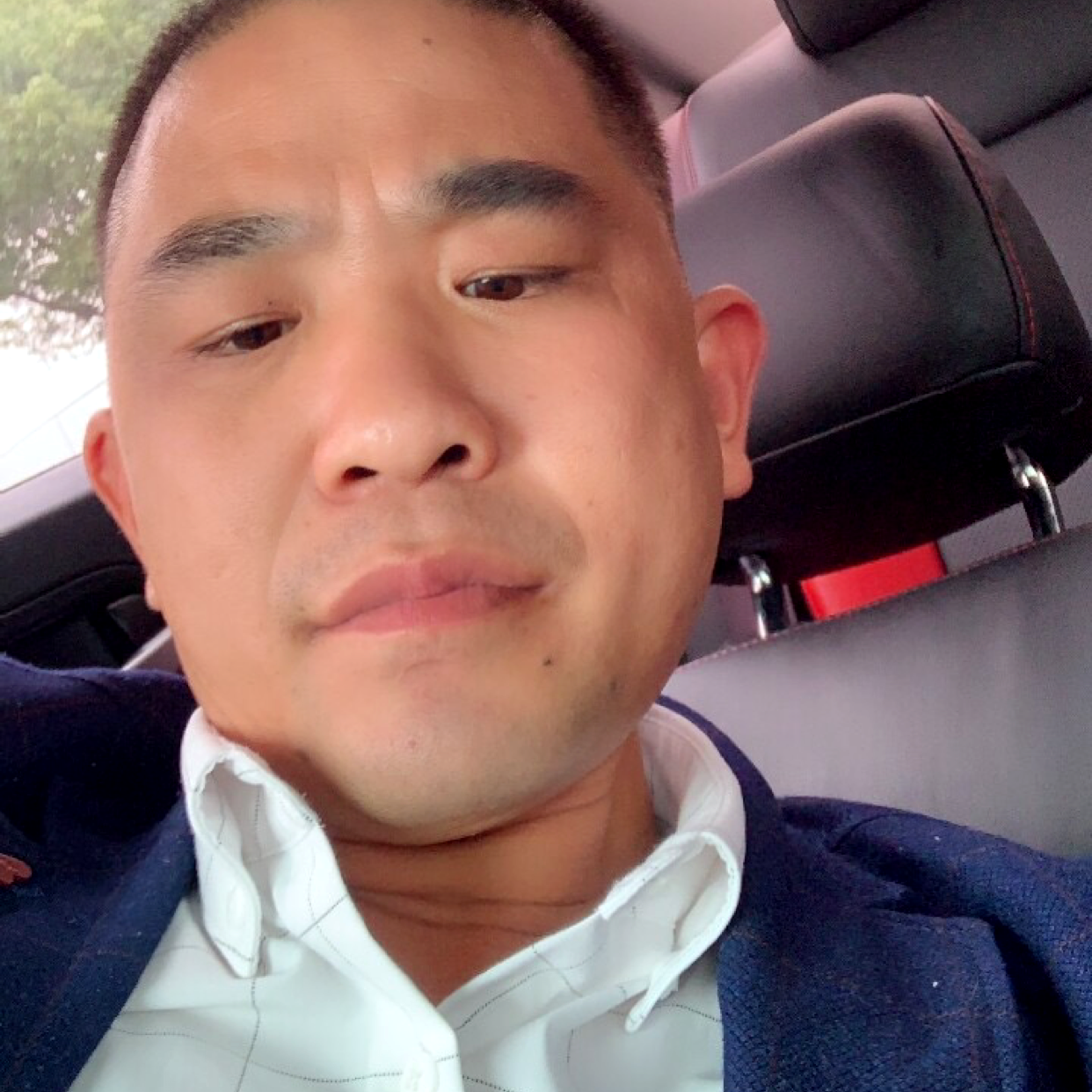 醉梦深情的照片