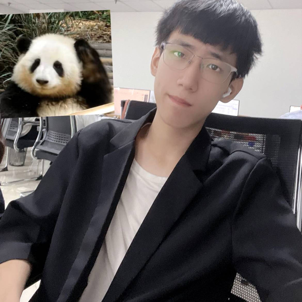 猫弦的照片