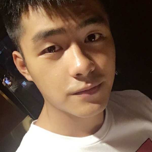 斯文多么羽毛的照片