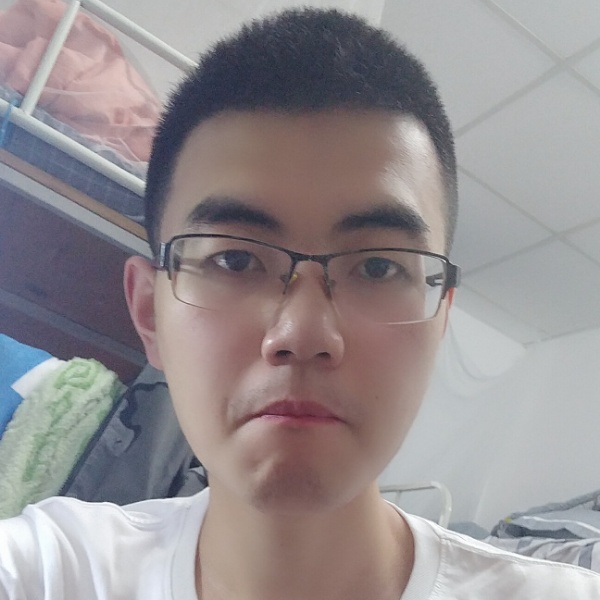 飞翔的黑猫的照片