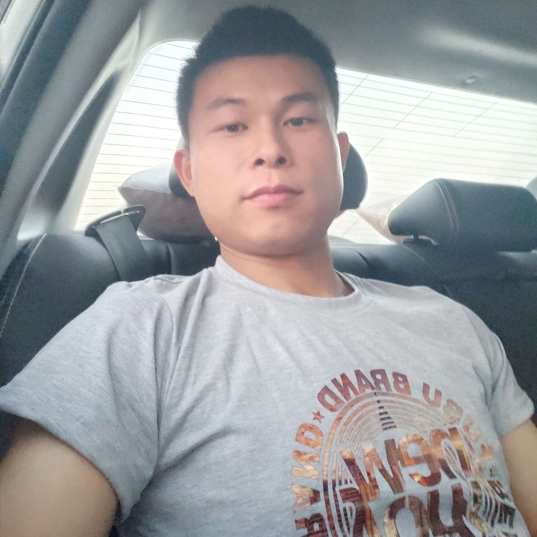 小天鹅专注的照片