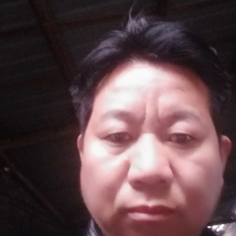 无语用小猫咪的照片