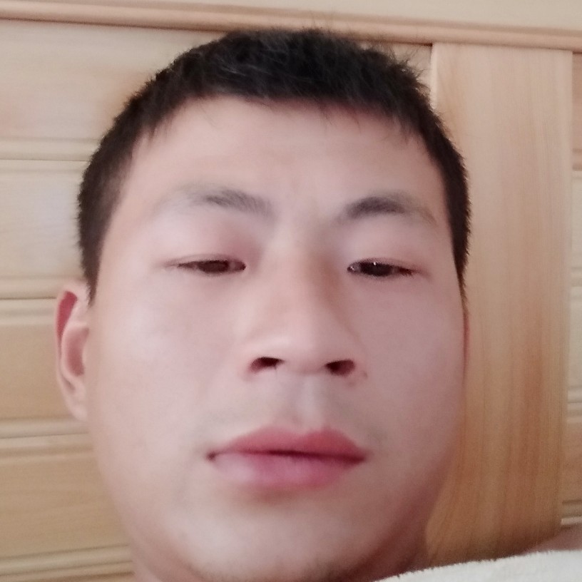 成就还蝶舞的照片