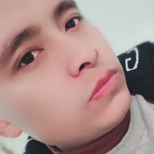 都没有的照片