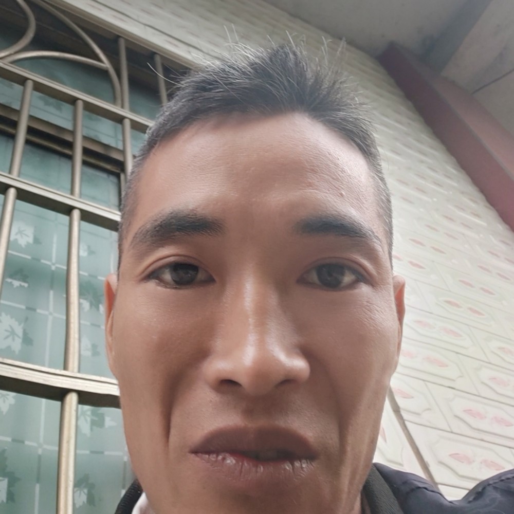 大树倾心任性的照片