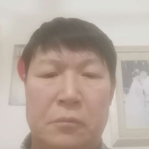 荷花那纯真的照片