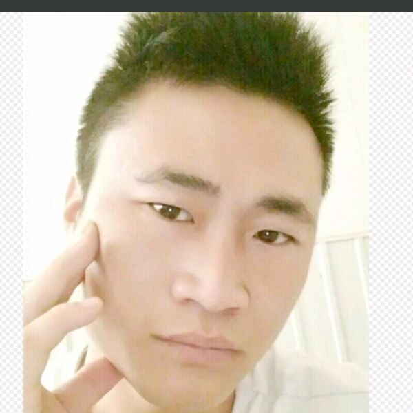 狐狸尾巴的照片