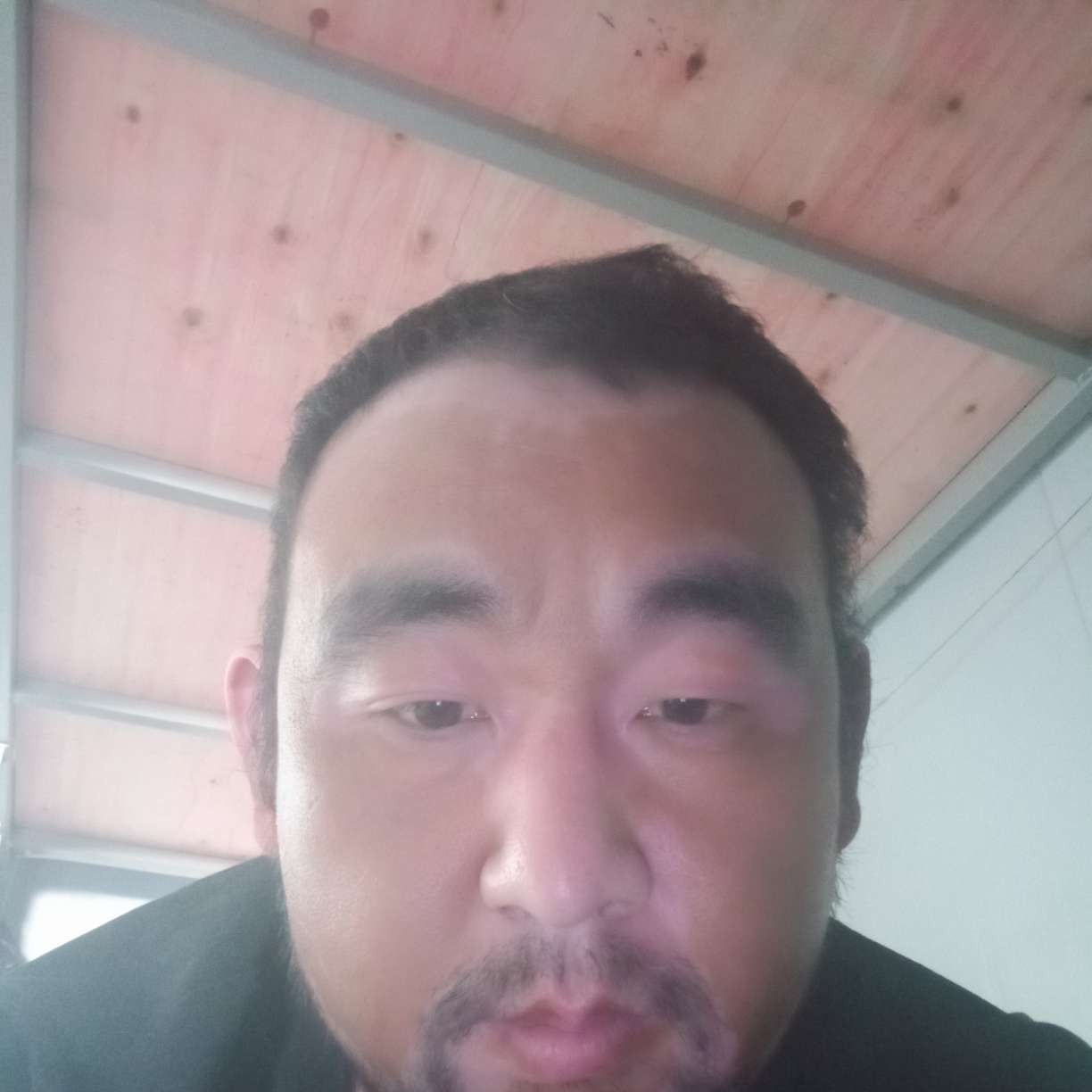 零碎笑康乃馨的照片