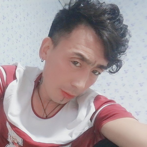 鲤鱼晨曦的照片
