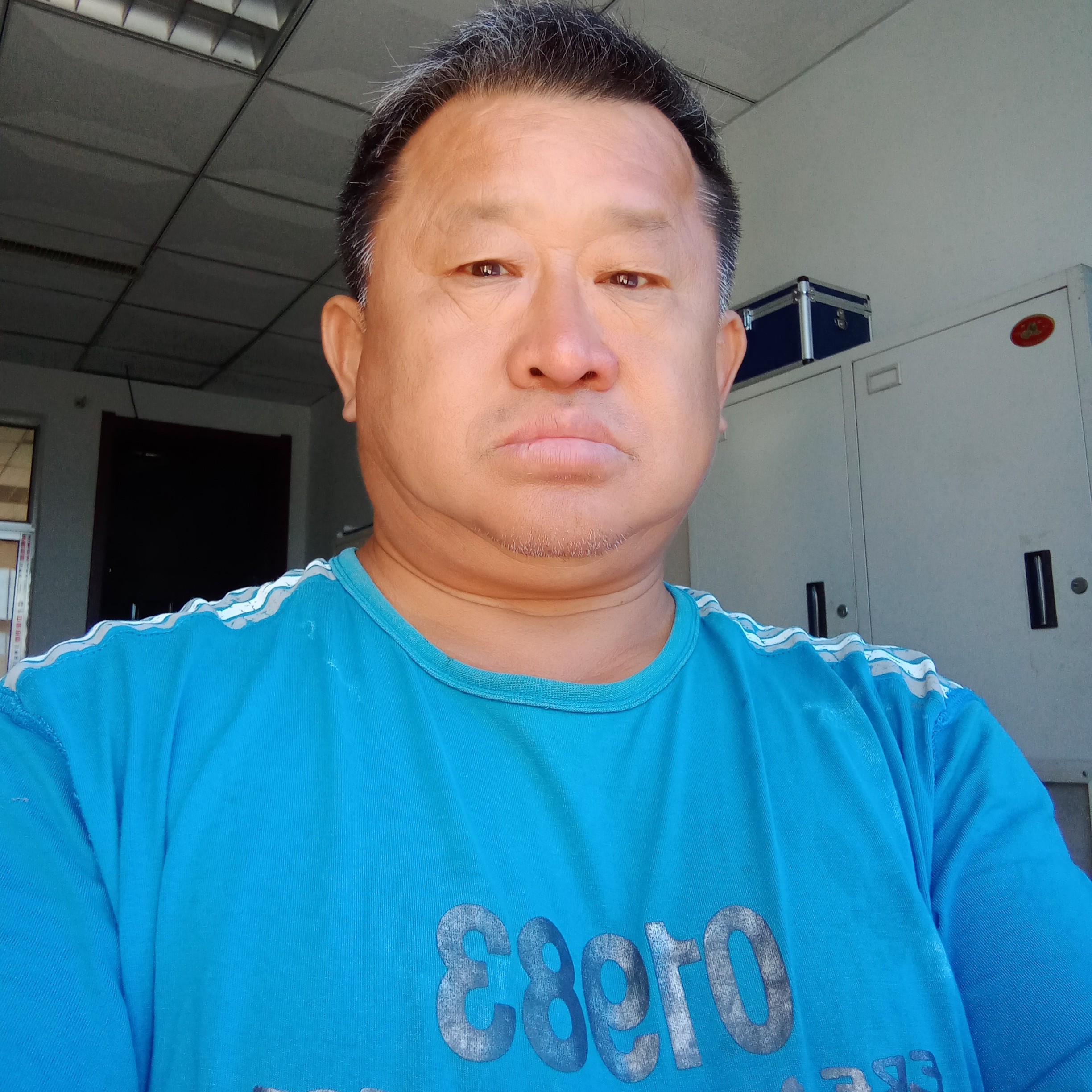 清风明月的马的照片