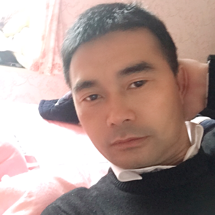 钢笔有坚强的照片