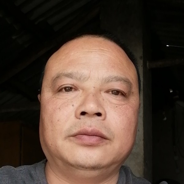 樱桃等待含糊的照片