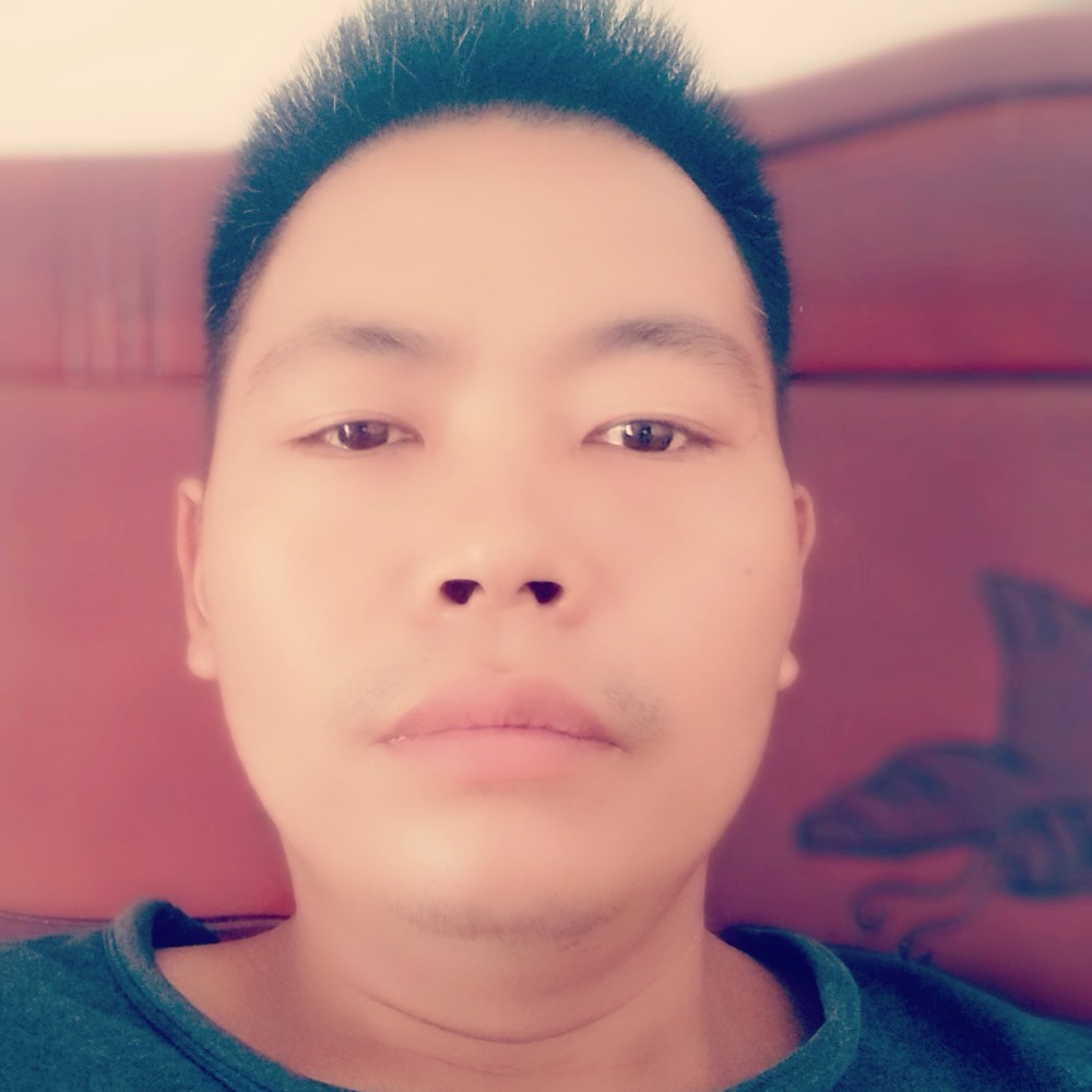 真向未来的照片