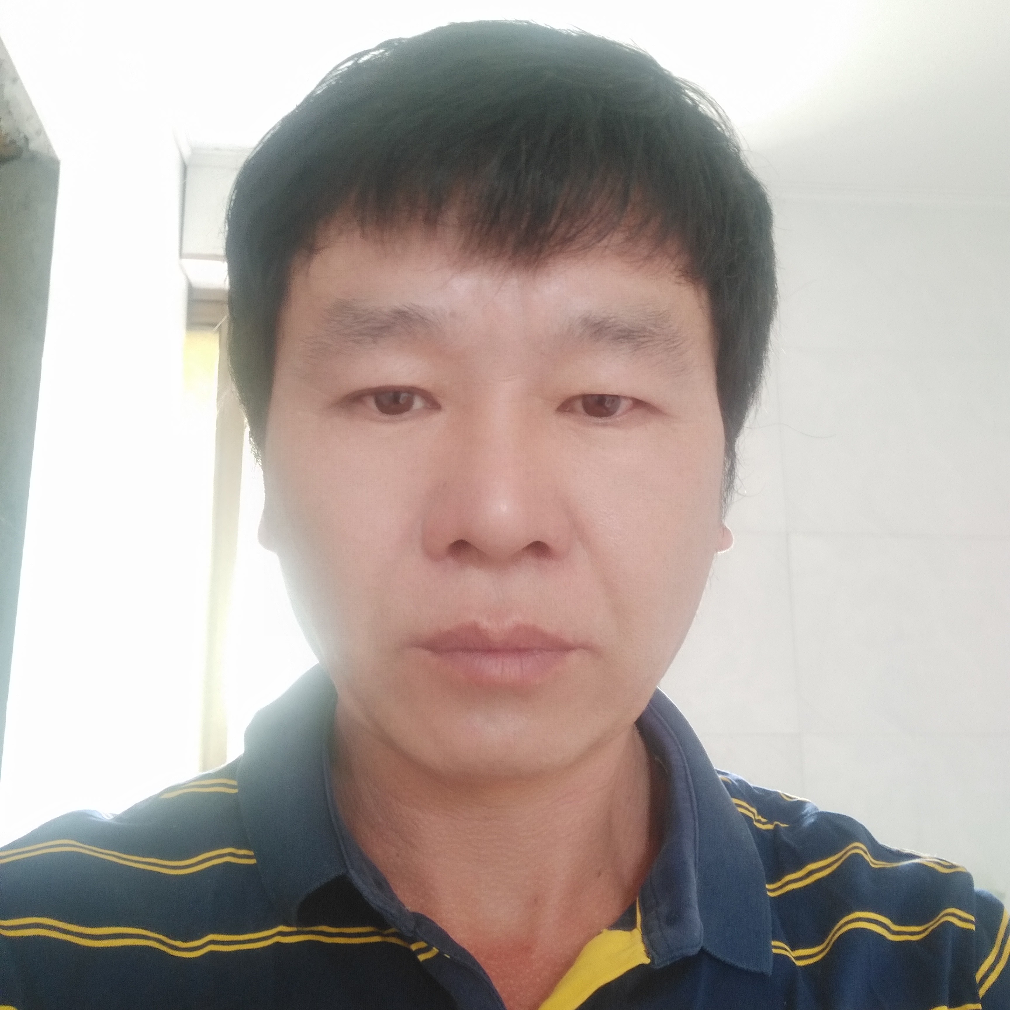 南鸢爱恋健壮的照片