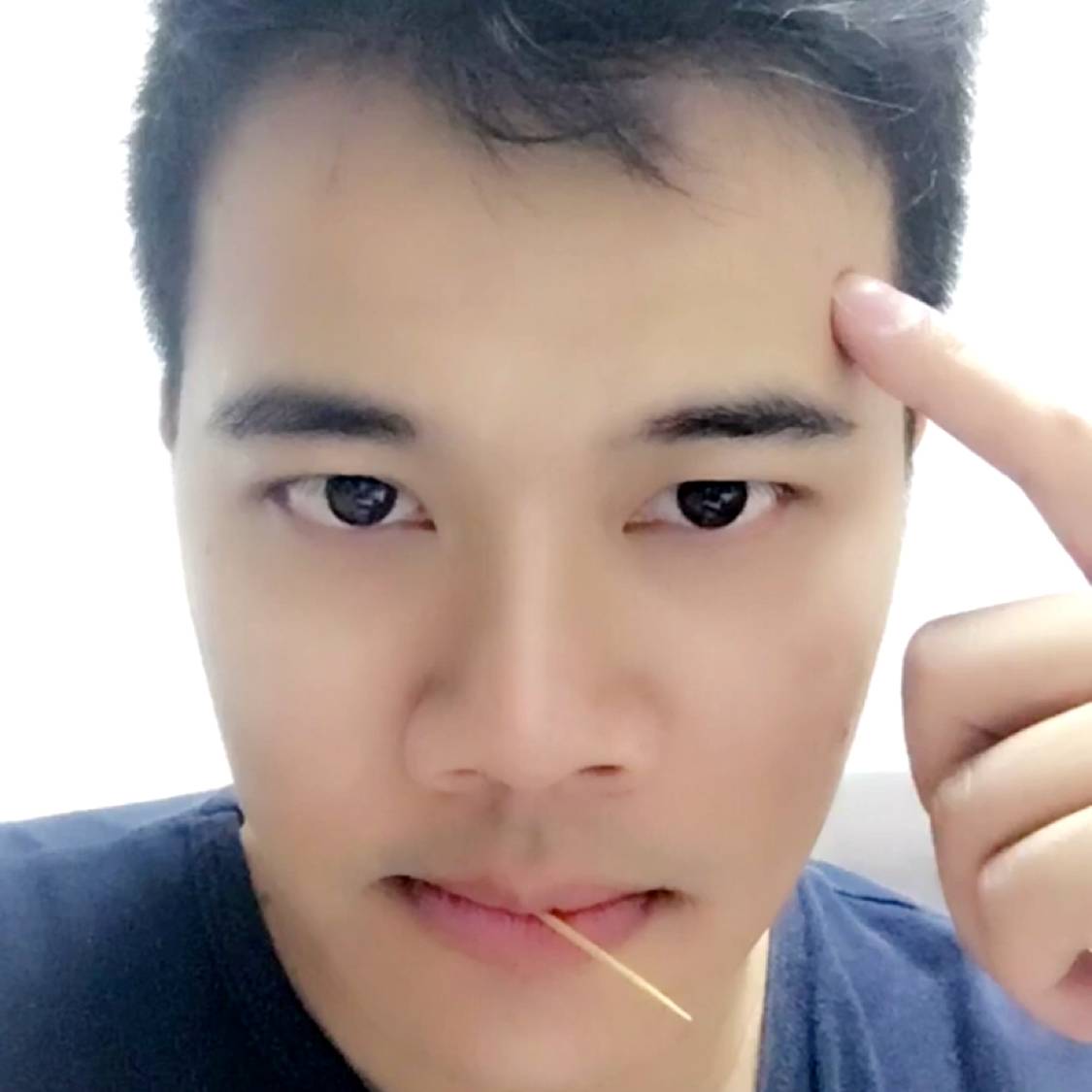 树随风愿的照片