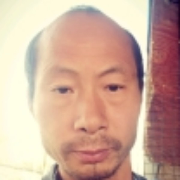 吉祥树树的照片
