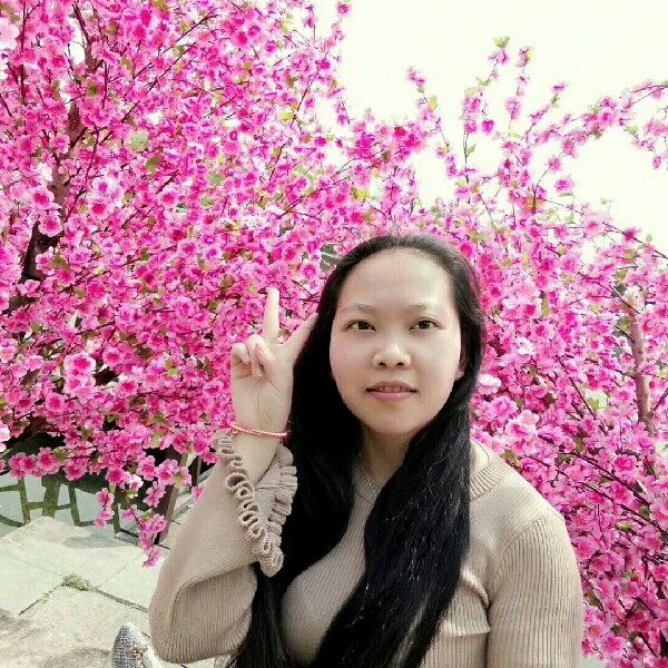美丽项链的照片