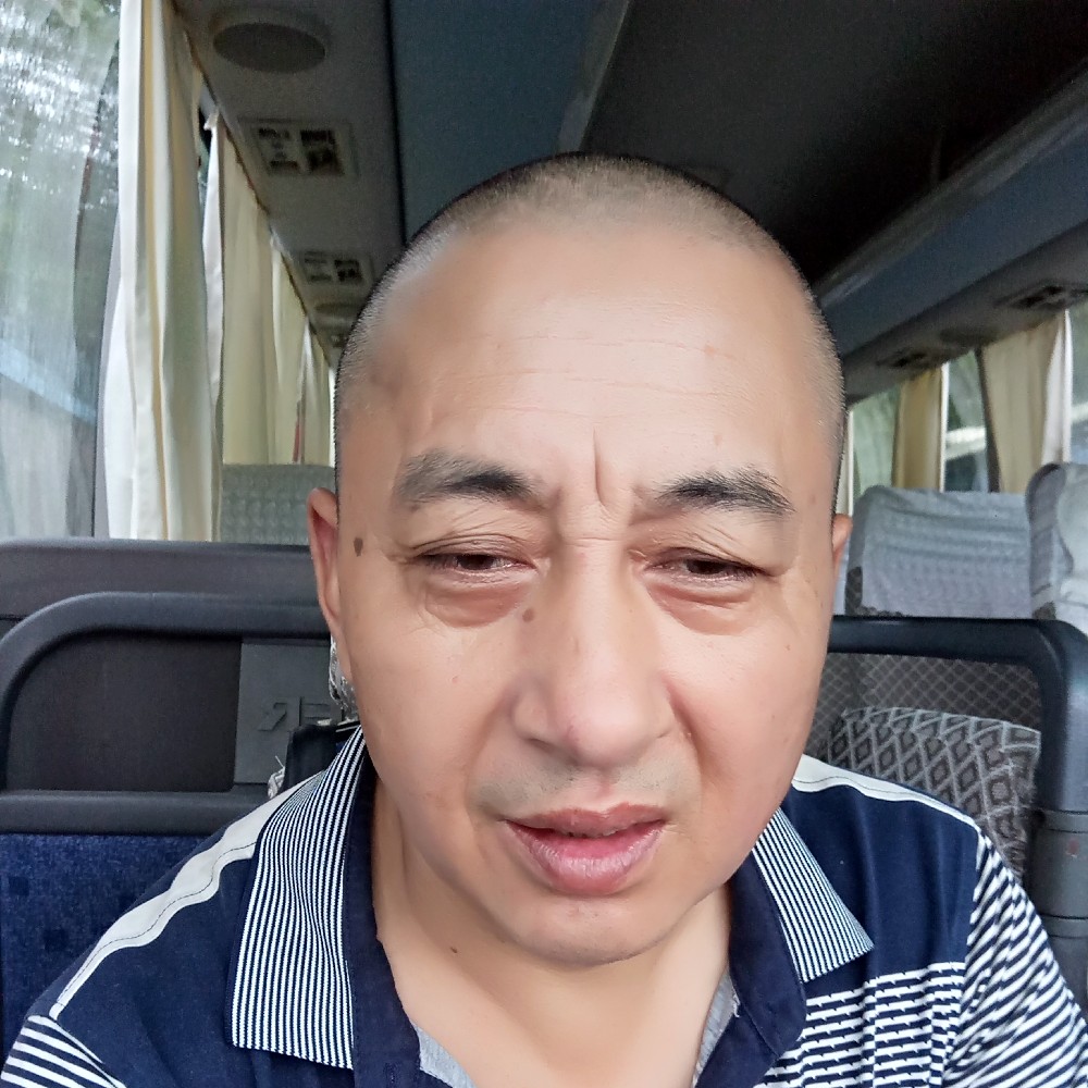 懦弱小鸽子的照片