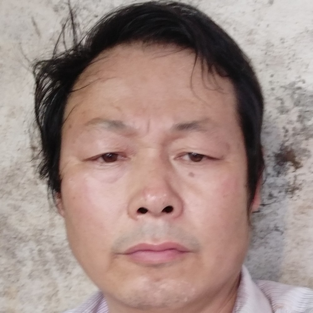 菠萝相许热情的照片