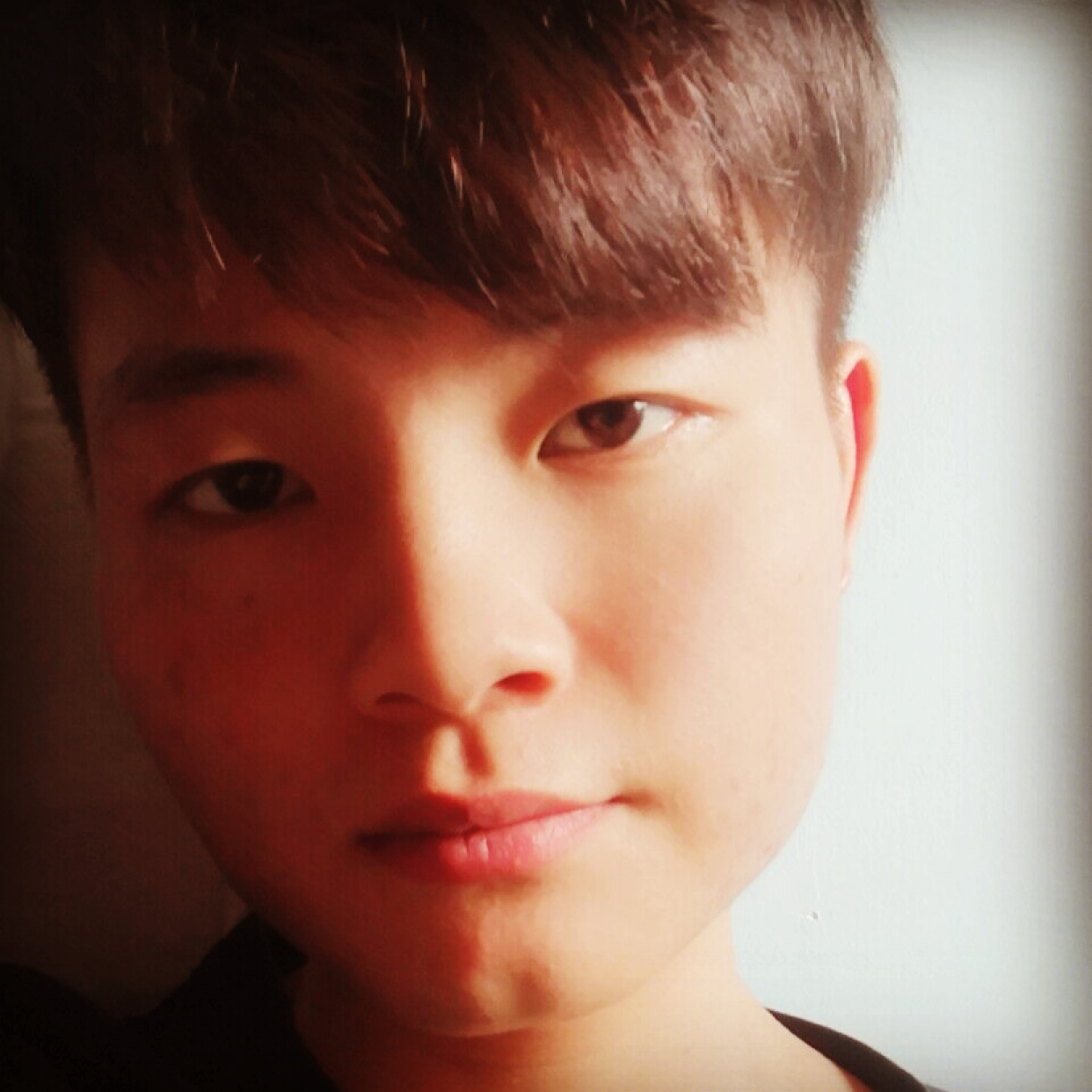 森林的轻语的照片