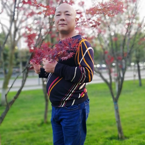 蓝天结实的照片