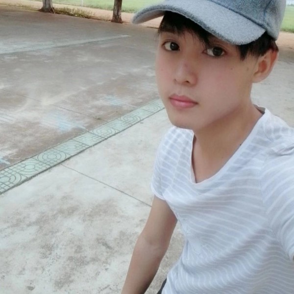 小白菜停止怡然的照片