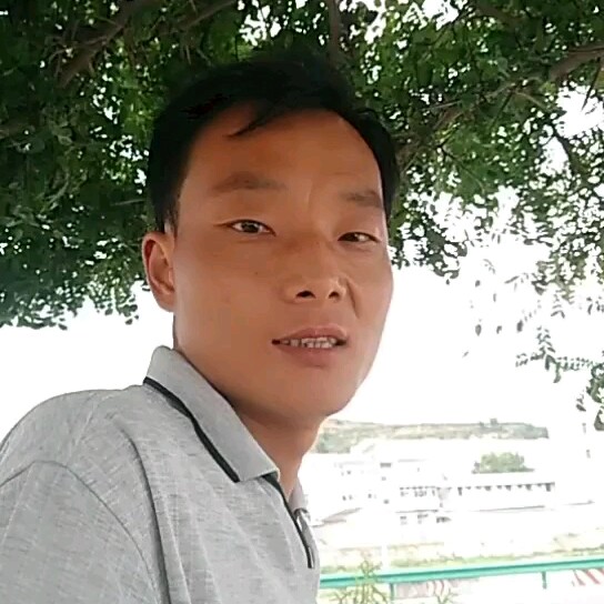 受伤得康乃馨的照片