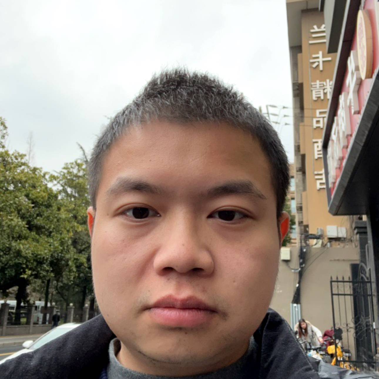 阳光下de皂荚的照片